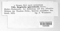 Sphaerulina quercicola image